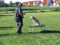 Christian und Cookie